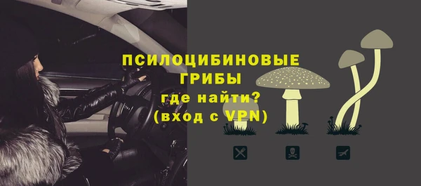 mdpv Белокуриха