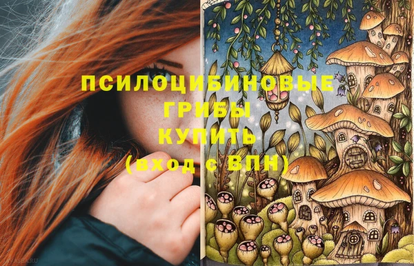 спиды Сатка