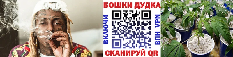 Шишки марихуана THC 21%  наркота  Бородино 